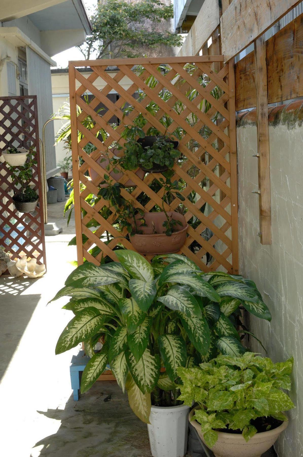 Accommodation Limited To One Group Per Day Yukuiru Miyakojima (Okinawa) Exterior foto